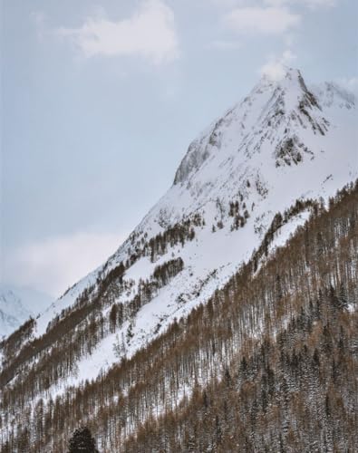 1000 Teile Puzzle für Erwachsene & Kinder ab 14 Jahren - Berg, Schnee, Bäume 75 x 50cm von DOEMIF