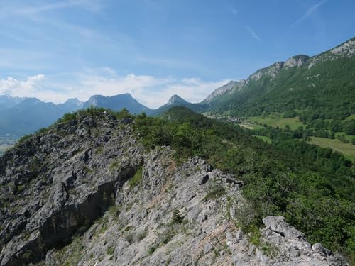 1000 Teile Puzzle für Erwachsene und Kinder ab 14 Jahren - Berge,Relief,Gras 75 x 50cm von DOEMIF