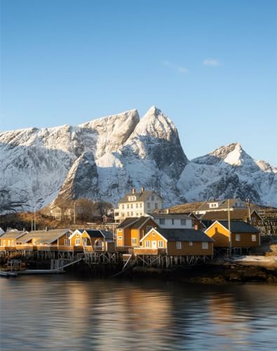 1000 Teile Puzzles für Erwachsene Lernspiel Herausforderungsspielzeug - Häuser, Pier, Berge 75 x 50cm von DOEMIF