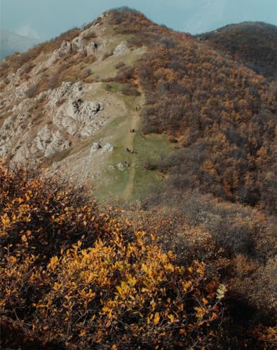 1000 Teile Puzzles für Erwachsene Lernspiel Herausforderungsspielzeug - Hügel, Berg, Luftaufnahme, Ansicht 75 x 50cm von DOEMIF