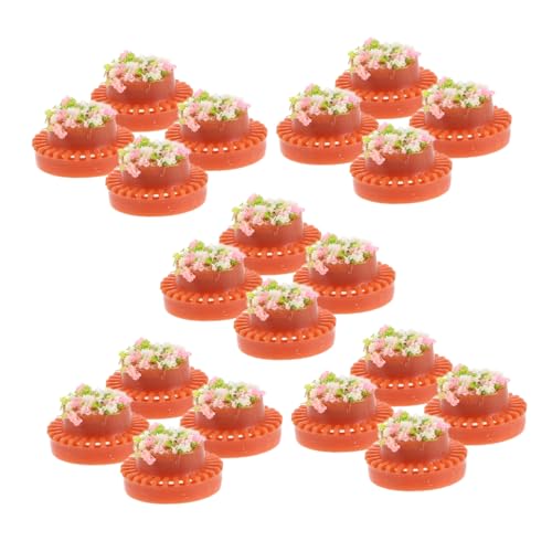 DOITOOL 20 Stück Maßstab Runde Pflanzkübel für Puppenhaus Mini Garten Landschaft Sandtisch Dekoration DOITOOL 20 Stück Maßstab Runde Pflanzkübel für Puppenhaus Mini Garten Landschaft Sandtisch Dekoration von DOITOOL