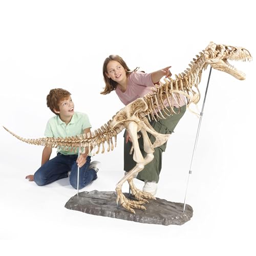 DOKTOR FUN - MEGA T-Rex - Das Skelett eines T-Rex-Dinosauriers - Realistisches Modell - Mit Einer Abmessung von 120 × 180 cm - 60 Teile - Museum zu Hause - Für Jede Altersgruppe von DOKTOR FUN