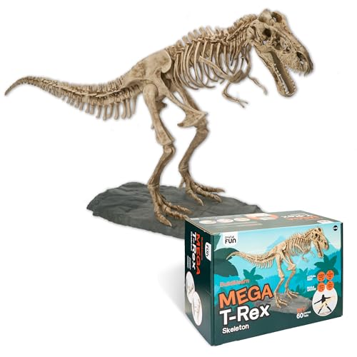 DOKTOR FUN - MEGA T-Rex - Das Skelett eines T-Rex-Dinosauriers - Realistisches Modell - Mit Einer Abmessung von 120 × 180 cm - 60 Teile - Museum zu Hause - Für Jede Altersgruppe von DOKTOR FUN