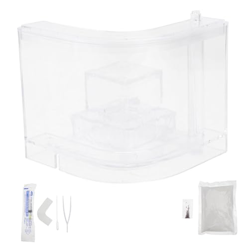 DRESSOOS 1 Satz Haustier-ameisen-Sand-Nest Spielzeug Für Kinder Lernspielzeug Ameisenfarmen Für Kinder Lebendes Nest Der Ameise Ameisennest Für Kinder Kidcraft-spielset Transparent Plastik von DRESSOOS