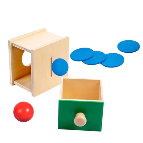 DRESSOOS 1 Satz Münzbox aufklärung Toys Motorikspielzeug für Kleinkinder Pädagogisches Babybälle Münzspielzeug sensorisches Spielzeugkisten Holz von DRESSOOS