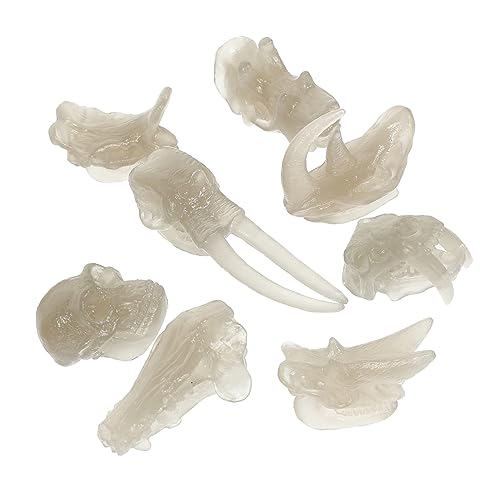 DRESSOOS 1 Set Dinosaurier Requisite Fossile Knochen Dinosaurier Modell 3D Dinosaurier Dinosaurier Schädel Dinosaurier Knochen Modell Dinosaurier Schädel Leuchtender Dinosaurier von DRESSOOS