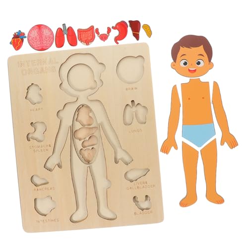 DRESSOOS 1Satz Holzpuzzle für Lernspielzeug zur Erkennung von Körperorganen Pädagogisches Puzzle für Vorschulkinder Geschenkidee für Jungen und Mädchen DRESSOOS 1Satz Holzpuzzle für Lernspielzeug zur Erkennung von Körperorganen Pädagogisches Puzzle für Vorschulkinder Geschenkidee für Jungen und Mädchen von DRESSOOS