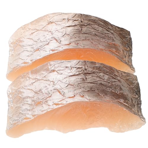 DRESSOOS 2 Stück Realistische Fake Fischstücke aus Robustem PVC Detailgetreue Nachbildung für Küchen und Partydekoration Vielseitig als Fotorequisite oder Tischdeko Platzsparend und DRESSOOS 2 Stück Realistische Fake Fischstücke aus Robustem PVC Detailgetreue Nachbildung für Küchen und Partydekoration Vielseitig als Fotorequisite oder Tischdeko Platzsparend und von DRESSOOS