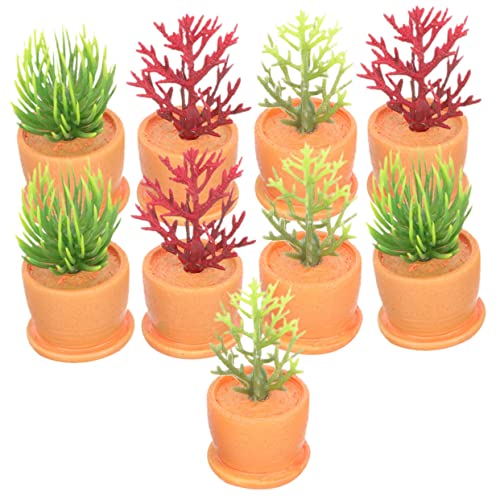 DRESSOOS 9St Mini-Blumentopf lebende Sukkulentenpflanzen Miniatur-Bonsai Mini- microanlagen Micro Plants kunstpflanze Desktop-Ornamente für zu Hause Garten Bonsai Modell Harz von DRESSOOS