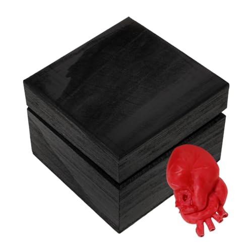 DRESSOOS Herz-orgel-geschenkbox Halloween-orgelstütze Halloween-Fake-Herz-Modell Körperteil Halloween-Blut-Requisiten Realistische Menschliche Organe Lebensechtes Herz Holz Black von DRESSOOS