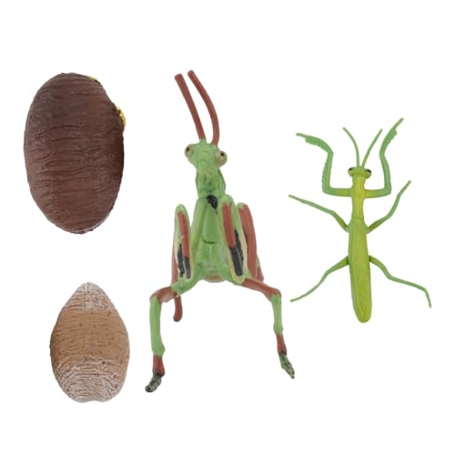 DRESSOOS Realistisches Mantis Tiermodell mit Lebenszyklus Pädagogisches Insekten für Leicht Tragbar Kreative Figuren für Kindergarten und Lernspiele Farbige Modellfiguren DRESSOOS Realistisches Mantis Tiermodell mit Lebenszyklus Pädagogisches Insekten für Leicht Tragbar Kreative Figuren für Kindergarten und Lernspiele Farbige Modellfiguren von DRESSOOS