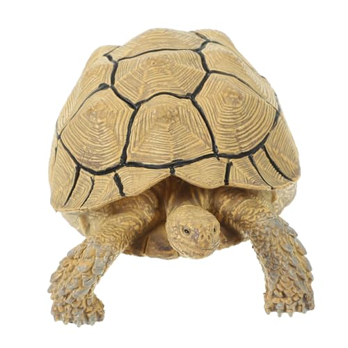 DRESSOOS Realistische Schildkrötenfigur Simulation Schildkröte Ornamente Für Garten Und Dekoration Sukkulente Schildkröte Tierfigur Für Frühe Bildung Und von DRESSOOS