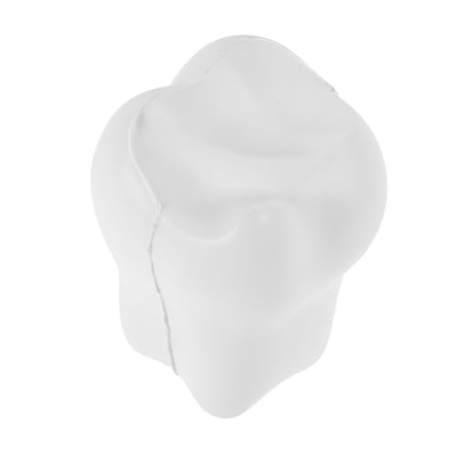 DRESSOOS Zahnförmiges Stressspielzeug aus Schaumstoff Tragbarer Weicher Quetschball für Sensorisches Zahnarzt und Partyzubehör Einzigartiges Handliches Entspannungs DRESSOOS Zahnförmiges Stressspielzeug aus Schaumstoff Tragbarer Weicher Quetschball für Sensorisches Zahnarzt und Partyzubehör Einzigartiges Handliches Entspannungs von DRESSOOS