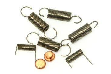 DS Racing Springs Set + Carbon Brush + Handle Screws von DS Racing