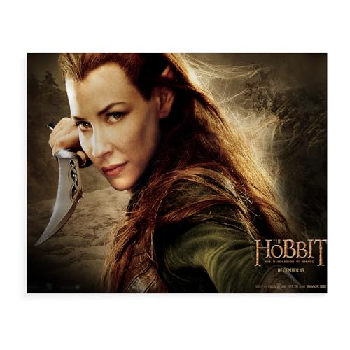 DTASSVEW Puzzle 500/1000/1500 Teile - Der Herr Der Ringe Puzzle Für Erwachsene,Puzzle Farbenfrohes Legespiel,Geschicklichkeitsspiel Für Die Ganze Familie - HD Film Poster-D460 von DTASSVEW