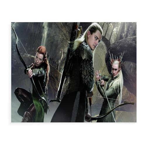 DTASSVEW Puzzle 500/1000/1500 Teile - Der Herr Der Ringe Puzzle Für Erwachsene,Puzzle Farbenfrohes Legespiel,Geschicklichkeitsspiel Für Die Ganze Familie - Serie Poster-A046 von DTASSVEW