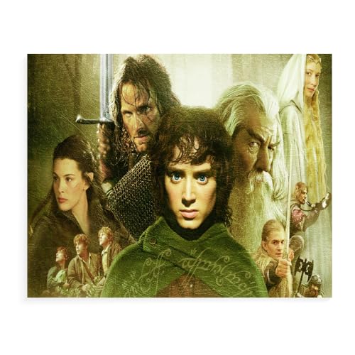 DTASSVEW Puzzle 500/1000/1500 Teile - Der Herr Der Ringe Puzzle Für Erwachsene,Puzzle Farbenfrohes Legespiel,Geschicklichkeitsspiel Für Die Ganze Familie - Serie Poster-S454 von DTASSVEW