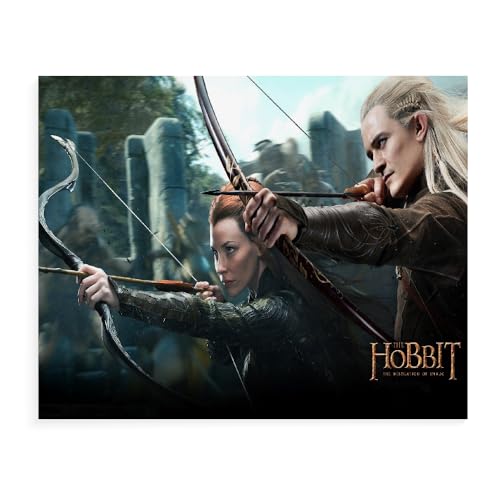 DTASSVEW Puzzle Erwachsene Holz Puzzle 500/1000/1500 Teile Freizeit- Der Herr Der Ringe Lernspielzeug, Kinder, Freunde Und Familie HD Film Poster-D114 (DREI Größen) von DTASSVEW