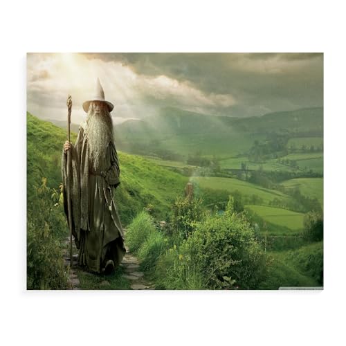 DTASSVEW Puzzle Erwachsene Holz Puzzle 500/1000/1500 Teile Freizeit- Der Herr Der Ringe Lernspielzeug, Kinder, Freunde Und Familie HD Film Poster-D234 (DREI Größen) von DTASSVEW