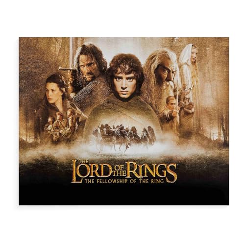 GUANGFAN 500/1000/1500 Puzzle - The Lord of The Rings Für Kinder Erwachsene Puzzle Educational Intellectual Decompressing Fun Family Game for Kinder Erwachsene Toy Filmplakat-A005 von DTASSVEW