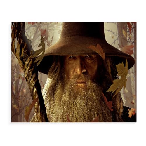 GUANGFAN Puzzle 500/1000/1500 Teile - The Lord of The Rings Puzzle Für Erwachsene,Puzzle Farbenfrohes Legespiel,Geschicklichkeitsspiel Für Die Ganze Familie - Filmplakat-A111 von DTASSVEW