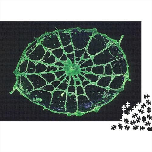 Kühl Spinne Spider Puzzle HolzKunst Premium Kreativ Lustiges Puzzles Plakat Für Erwachsene Kinder 300pcs (40x28cm) von DUABELPHF