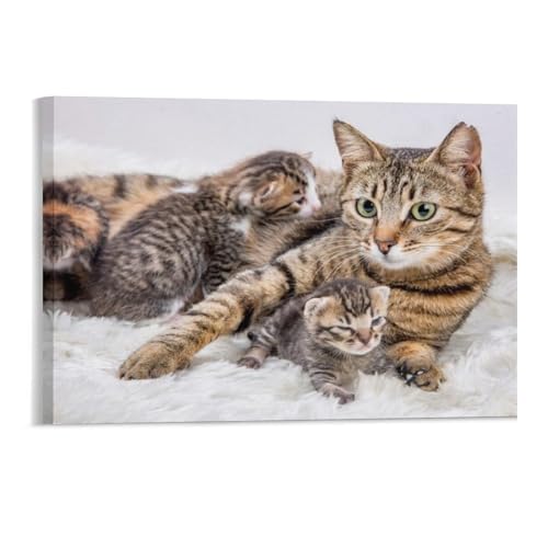 Katze，Adult Puzzle 1000, Adult Brain Challenge Puzzle（38x26cm）-77 von DUDOK