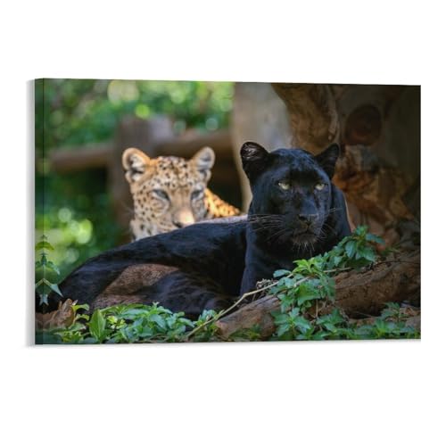 Leopard oder Panther，Puzzles für Erwachsene 1000 Teile, Klassische Puzzle für Erwachsene Teenager Freizeit Spaß Spiel Spielzeug Geeignet für Familie Freunde Dekorativ（38x26cm）-193 von DUDOK