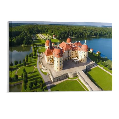 Puzzle 1000 Teile，Luftaufnahme von Schloss Moritzburg und dem Schlosspark，Kinderspielzeug Dekompressionsspiel Klassisches Spiel Puzzle（50x70cm）-214 von DUDOK