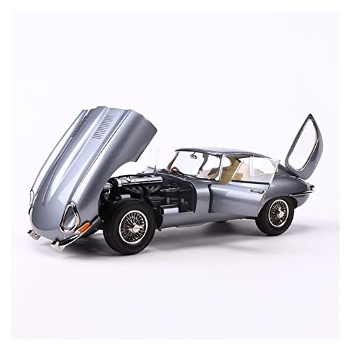 1 18 Für Jaguar E-Type Legierung Sportwagen Modell Statische Diecast Fahrzeug Simulation Sammlerstück Souvenir Display Druckgussmodelle Motorfahrzeuge(Silber) von DUEVEL