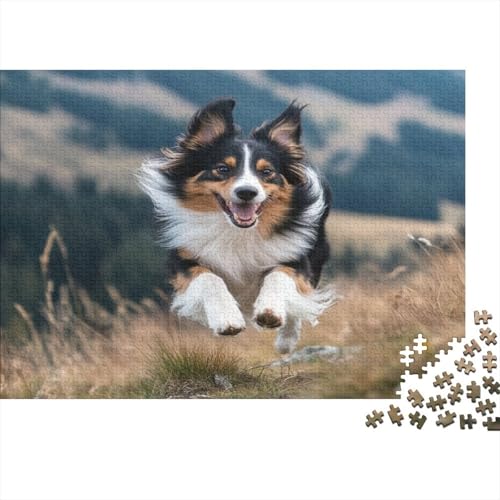 Shetland-Schäferhund 500 Teile Puzzle Spielzeug Geschenk Geschicklichkeitsspiel Familienspaß Impossible Puzzle 500pcs (52x38cm) von DVAPAHEVK