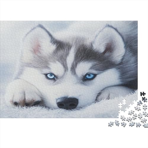 Sibirischer Husky 300 Teile Puzzle Spielzeug Geschenk Kinder Lernspiel Familienspaß Impossible Puzzle 300pcs (40x28cm) von DVAPAHEVK