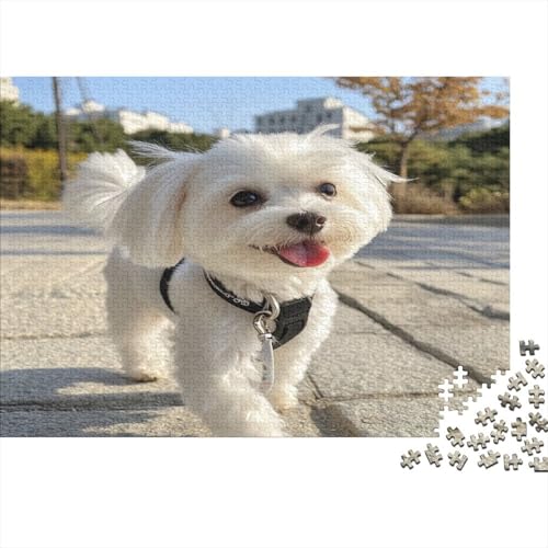 West Highland White Terrier 300 Teile Puzzle Spielzeug Geschenk Kinder Lernspiel Für Erwachsene Und Kinder 100% Recycelten Kartons 300pcs (40x28cm) von DVAPAHEVK