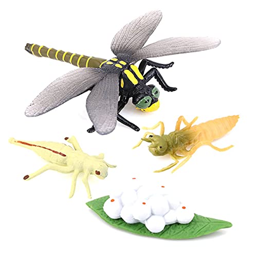 Daijianbin Lebens Zyklus Einer Libelle Insekten Lebens Zyklen Wachstums Modell Kinder Tier Wachstums Zyklus Wissenschaft Lernspielzeug von Daijianbin