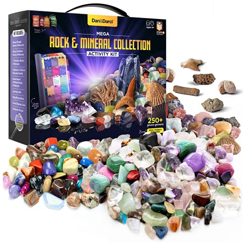 Rock, Fossil & Mineral Collection & Activity Kit Enthält 250+ echte Edelsteine, Kristalle, Exemplare & Jumbo-Lernmatte – Wissenschaftsgeschenk für Kinder – Grobe Rohsteine, polierte Edelsteine, echte von Dan&Darci