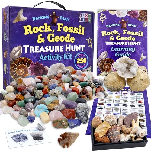 Dancing Bear's Rocks and Minerals Rock & Mineral Collection Kit mit 2 Easy Pause Geodes Activity Kit von Dancing Bear