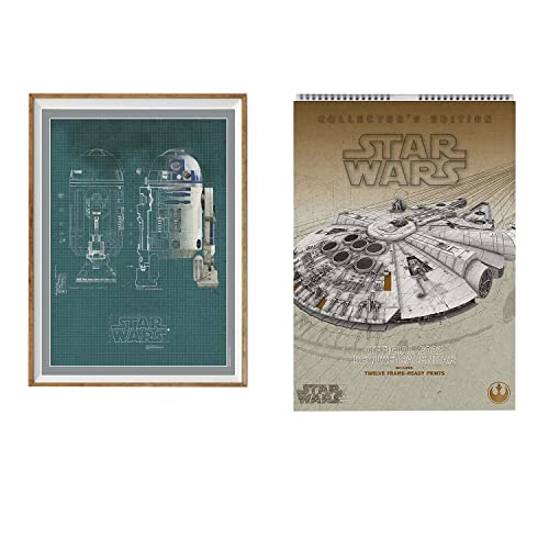 Official Star Wars Classic 2022 Calendar - Special Edition Calendar With Detachable Artwork For Framing (The Official Star Wars Classic Special Edition Calendar) von Danilo Promotions LTD