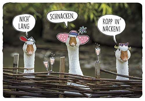 DeCoArt... Postkarte Gänse - nicht lang - schnacken - kopp in Nacken 17 x 12 cm DeCoArt... Postkarte Gänse - nicht lang - schnacken - kopp in Nacken 17 x 12 cm von DeCoArt... by Kathrin Friedenstab-Maschner