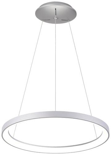 Deko Light Sculptoris 600 342195 Pendelleuchte LED LED fest eingebaut EEK: E (A - G) 42W Silber von Deko Light