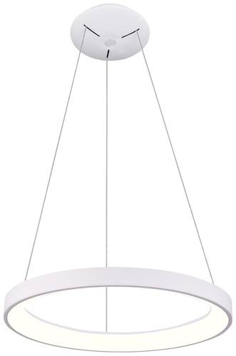 Deko Light Sculptoris 800 342197 Pendelleuchte LED LED fest eingebaut 60W Verkehrsweiß (RAL 9016) von Deko Light