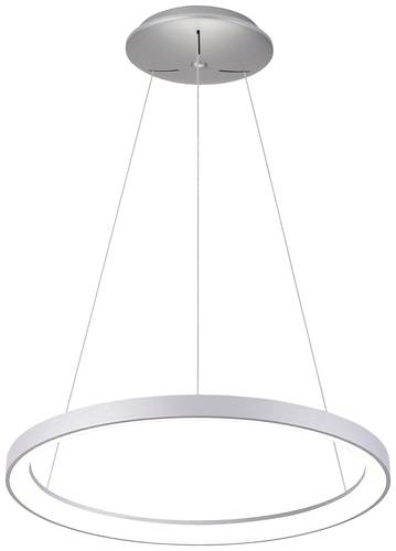 Deko Light Sculptoris 800 342199 Pendelleuchte LED LED fest eingebaut EEK: F (A - G) 60W Silber von Deko Light