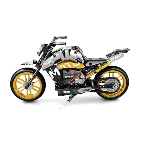 DelightCube Technik Motorrad Bausteine Set, Klemmbausteine Technic Motorrad Modellbausatz, MOC Supermotorrad Bauset Spielzeug Geschenk für Kinder Erwachsene (47114) von DelightCube