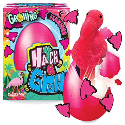 Hatch n Grow - Flamingo von Deluxebase. 11cm großes, wachsendes und schlüpfendes Ei mit Flamingospielzeug. Legen Sie es ins Wasser um zu sehen wie Sich das magische Spielzeug verwandelt von Deluxebase