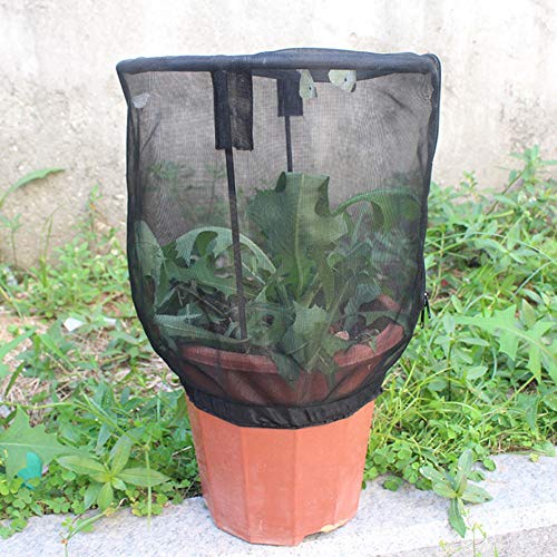 Denash Insektennetzkäfiglüftung mit Einfachem Reißverschlussdesign für die Beobachtung und Fütterung von Insekten für Studenten und Familien aus Polyester Denash Insektennetzkäfiglüftung mit Einfachem Reißverschlussdesign für die Beobachtung und Fütterung von Insekten für Studenten und Familien aus Polyester von Denash