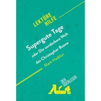 Supergute Tage oder Die sonderbare Welt des Christopher Boone von Mark Haddon (Lektürehilfe) von DerQuerleser.de