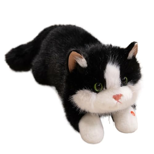 Dgayaeic 40 cm Simulation Cat Plush Puppe, realistisch, PP -Baumwolle, Katzenplüschspielzeug mit Klang, weiche interaktive Puppe, Huggable, für Kinder, Erwachsene und Wohnkultur Dgayaeic 40 cm Simulation Cat Plush Puppe, realistisch, PP -Baumwolle, Katzenplüschspielzeug mit Klang, weiche interaktive Puppe, Huggable, für Kinder, Erwachsene und Wohnkultur von Dgayaeic