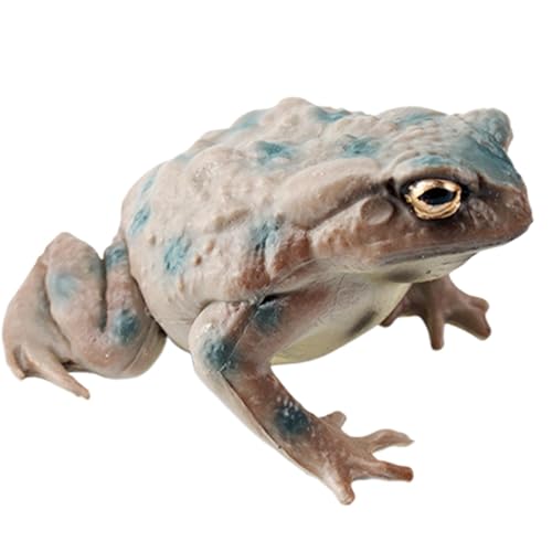 Dgayaeic Toad Toy Figur, Miniatur - -Figur, realistisches -Aktionsmodell -Wissenschaftsprojekt, Lernen von Bildungsspielzeugen, Förderung der Fantasie, 6,2x4.9x3.2cm für Kinder und Erwachsene -Ent von Dgayaeic