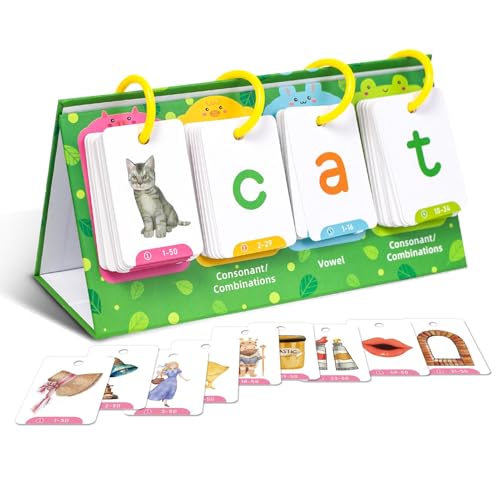 Sight Word Flash Cards for Kids, Sight Words Kids Learning Flash Cards, Educational Toys, Reading Skills Learning Games Word Game Reading Vocabulary Card Toy for Kindergarten Preschool Toddler 3+ Old von Dgayaeic