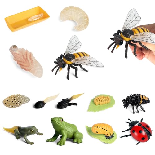 Dhqkqg Insekten Lebenszyklus Figuren, Montessori Spielzeug Insektenfiguren Spielzeug von Dhqkqg