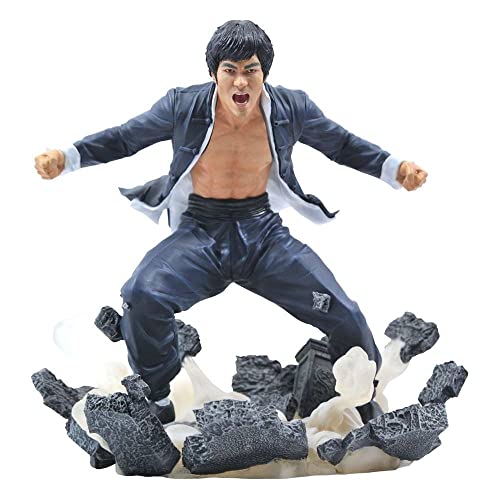 Diamond Select Torys Bruce Lee Gallery Earth PVC Statue (MAR212004) von Diamond Select Toys